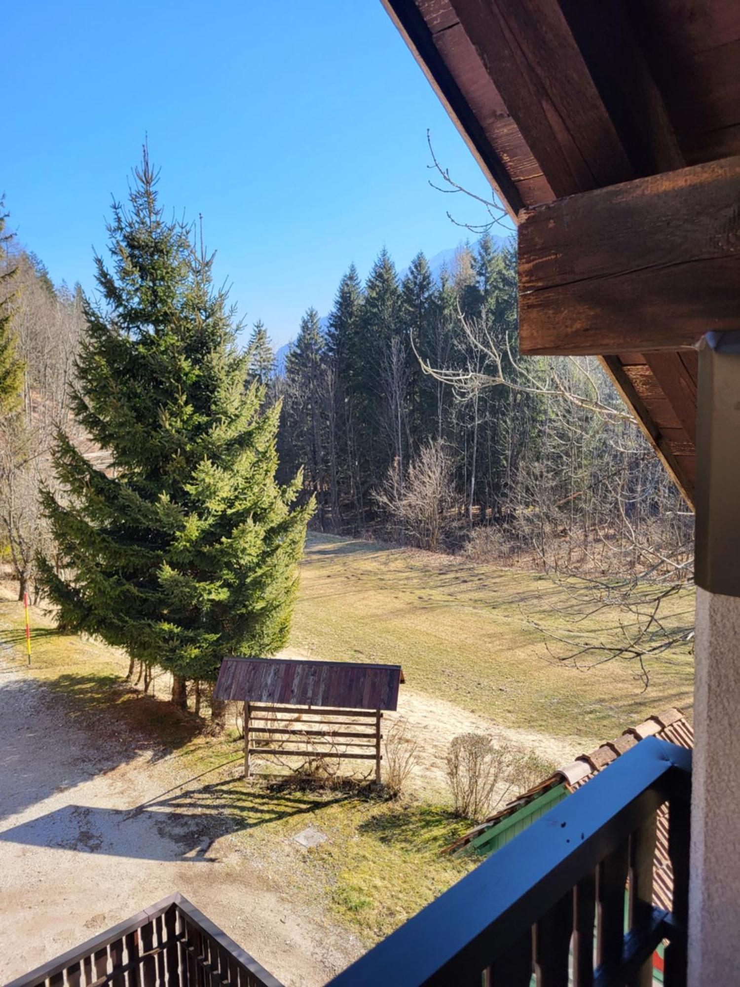 Apartment Dobnikar Kranjska Gora Exterior photo